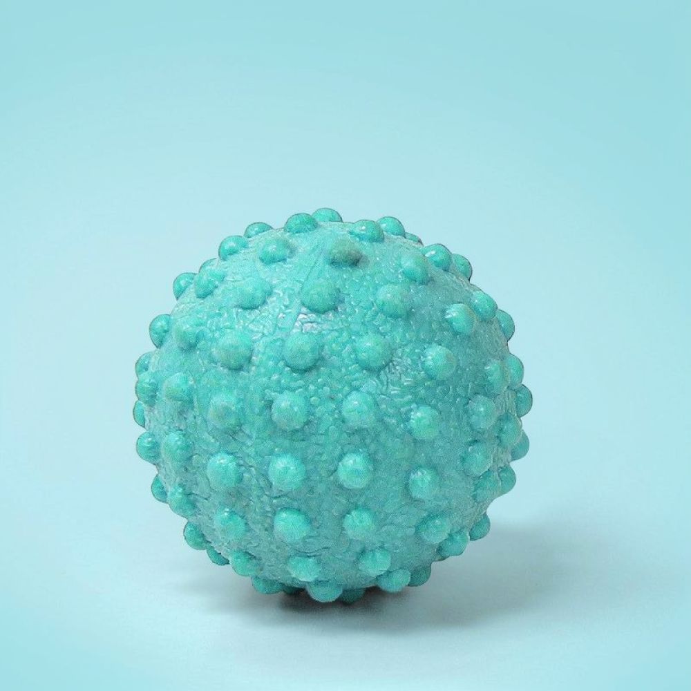 Set de bolas de masaje para la - Pilates Yoga Ball Workout reseña y precio